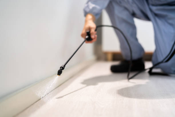 Licensed Termite Control service in Warsaw, IL - Nex Pest Control