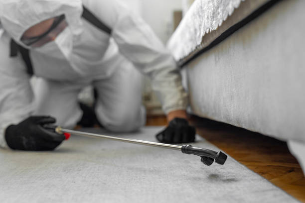 Professional Termite Control technician working in Warsaw, IL
