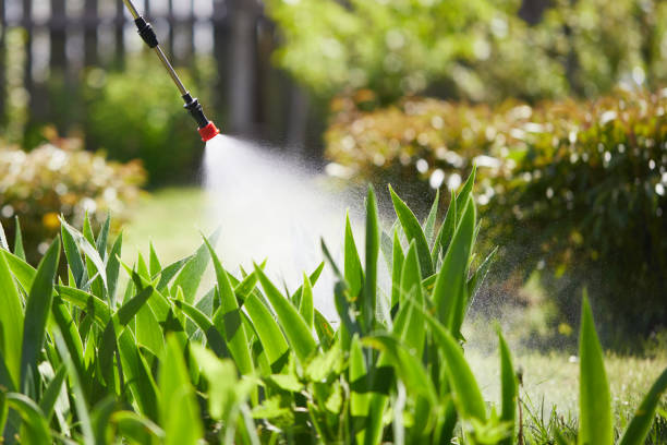 24/7 Emergency Termite Control experts in Warsaw, IL