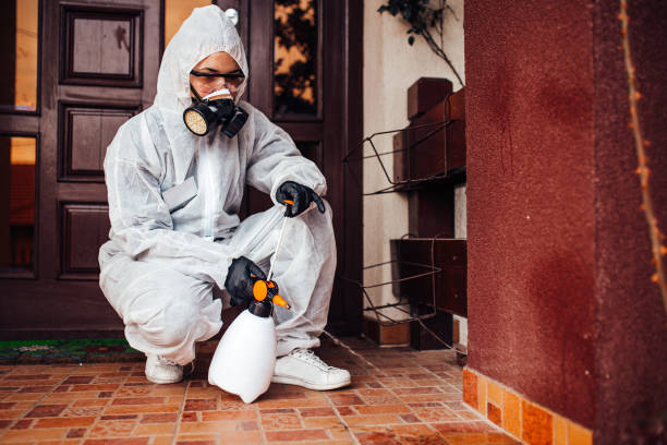 Reliable Termite Control contractor in Warsaw, IL by Nex Pest Control