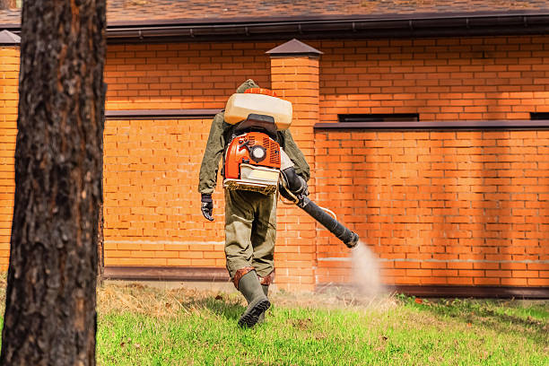 Top rated local Termite Control specialists in Warsaw, IL